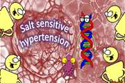 مکانیسم اپی ژنتیک در توسعه فشارخون حساس به نمک