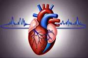 شیوع و عوامل مرتبط با الگوهای غیرطبیعی نوار قلبی (ECG) نشان‌دهنده کانالوپاتی‌های قلبی در جمعیت عمومی بزرگسال تهران، ایران